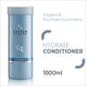 Hydrate Conditioner