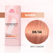 Shinefinity Spicy Ginger 08/34 60ML