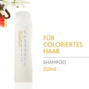 SASSOON Illuminating Clean Shampoo
